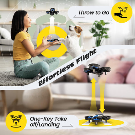 Holy Stone Mini Drone