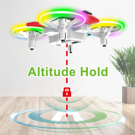 Dwi Dowellin Mini Drone